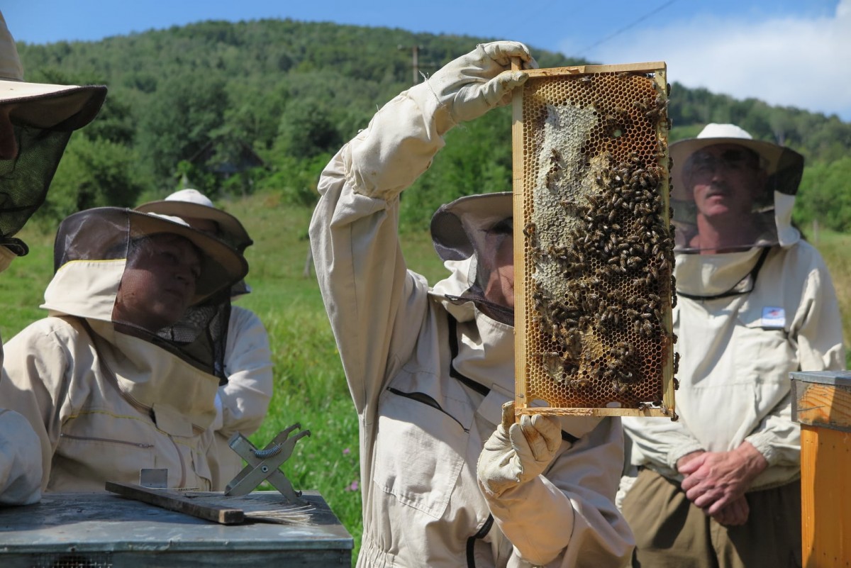 Projekt Včelí kRaj získal uznanie poroty Ceny Rady Európy